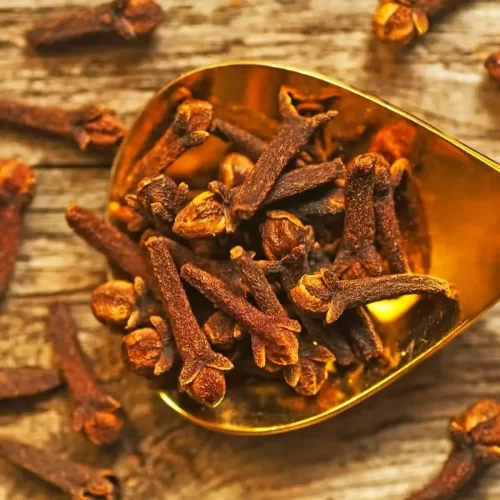 CLOVES